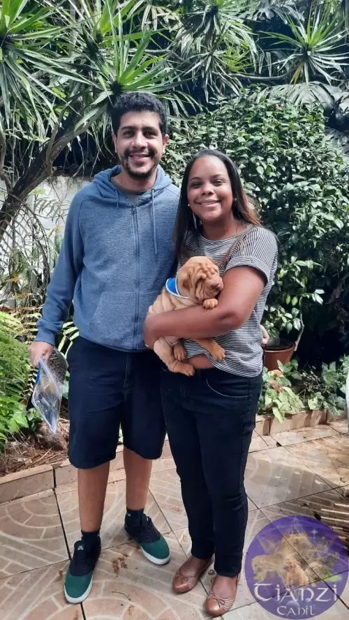 Família Tianzi