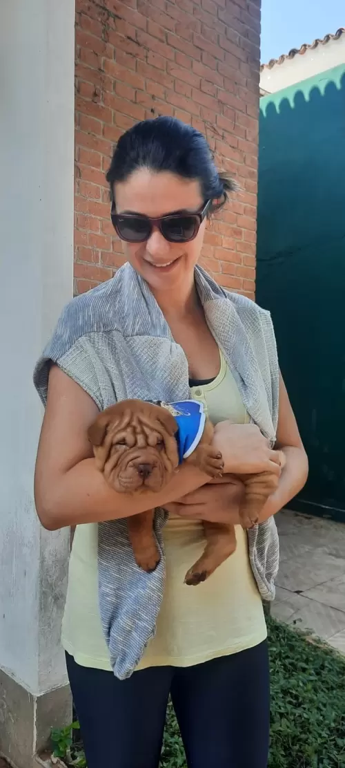 Família Tianzi