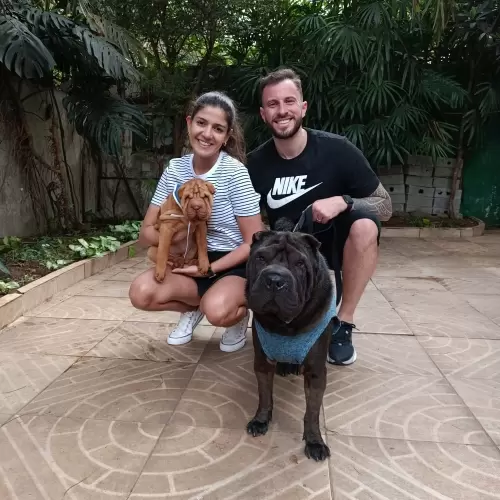 Família Tianzi